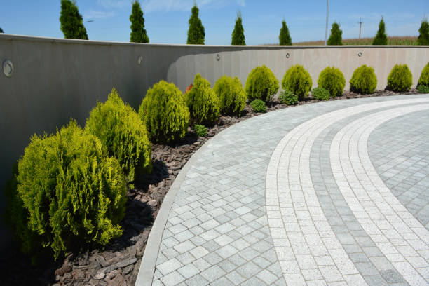 Best Driveway Pavers Installation  in Webster, TX