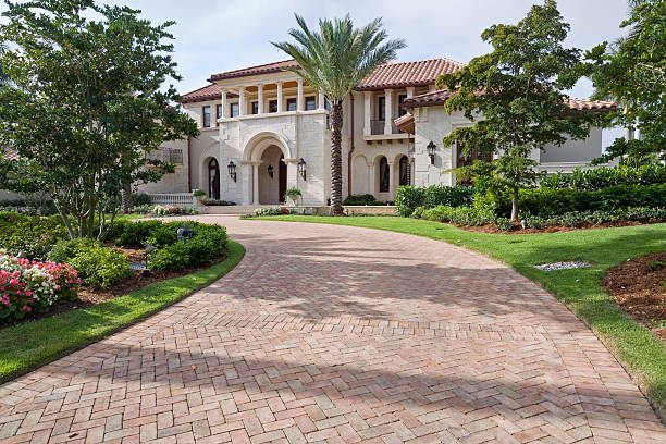 Best Local Driveway Pavers  in Webster, TX