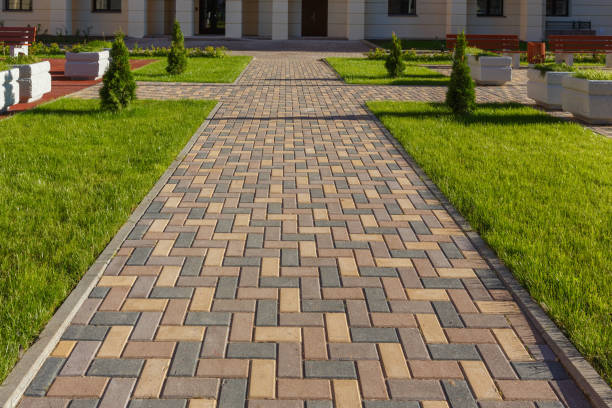 Best Driveway Pavers Near Me  in Webster, TX
