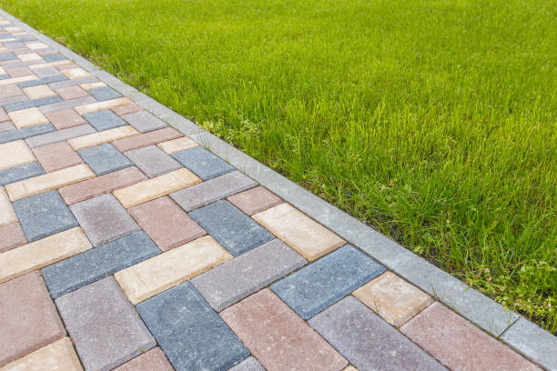 Best Driveway Pavers Near Me  in Webster, TX